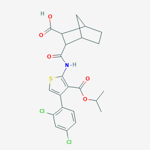 molecular formula C23H23Cl2NO5S B445027 3-({[4-(2,4-Dichlorophenyl)-3-(isopropoxycarbonyl)thien-2-yl]amino}carbonyl)bicyclo[2.2.1]heptane-2-carboxylic acid 