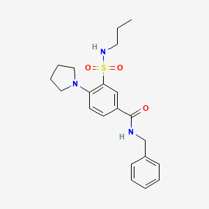 N-benzyl-3-[(propylamino)sulfonyl]-4-(1-pyrrolidinyl)benzamide