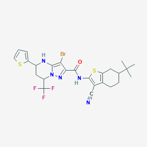 molecular formula C25H25BrF3N5OS2 B445094 3-bromo-N-(6-tert-butyl-3-cyano-4,5,6,7-tetrahydro-1-benzothien-2-yl)-5-(2-thienyl)-7-(trifluoromethyl)-4,5,6,7-tetrahydropyrazolo[1,5-a]pyrimidine-2-carboxamide 