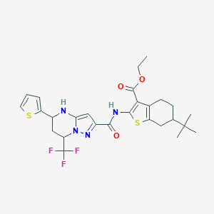 molecular formula C27H31F3N4O3S2 B445103 Ethyl 6-tert-butyl-2-({[5-(2-thienyl)-7-(trifluoromethyl)-4,5,6,7-tetrahydropyrazolo[1,5-a]pyrimidin-2-yl]carbonyl}amino)-4,5,6,7-tetrahydro-1-benzothiophene-3-carboxylate 