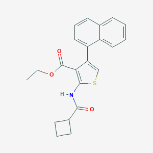 molecular formula C22H21NO3S B445187 Ethyl 2-[(cyclobutylcarbonyl)amino]-4-(1-naphthyl)thiophene-3-carboxylate 