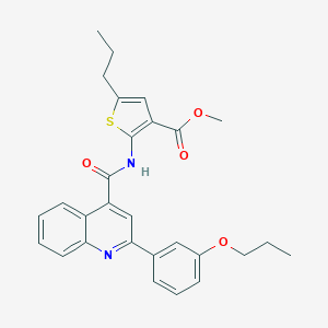 molecular formula C28H28N2O4S B445202 Methyl 2-({[2-(3-propoxyphenyl)quinolin-4-yl]carbonyl}amino)-5-propylthiophene-3-carboxylate 