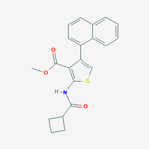 molecular formula C21H19NO3S B445217 Methyl 2-[(cyclobutylcarbonyl)amino]-4-(1-naphthyl)-3-thiophenecarboxylate 