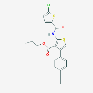 Propyl 4-(4-tert-butylphenyl)-2-{[(5-chlorothiophen-2-yl)carbonyl]amino}thiophene-3-carboxylate