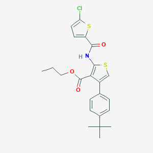 molecular formula C23H24ClNO3S2 B445253 Propyl 4-(4-tert-butylphenyl)-2-{[(5-chlorothiophen-2-yl)carbonyl]amino}thiophene-3-carboxylate 