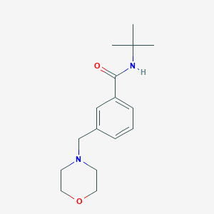 N-(tert-butyl)-3-(4-morpholinylmethyl)benzamide