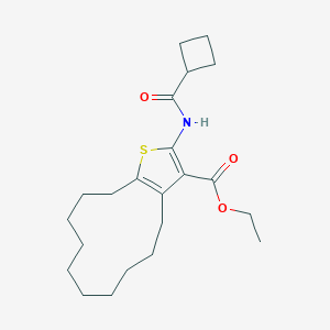 Ethyl 2-[(cyclobutylcarbonyl)amino]-4,5,6,7,8,9,10,11,12,13-decahydrocyclododeca[b]thiophene-3-carboxylate