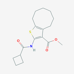 molecular formula C17H23NO3S B445356 Methyl 2-[(cyclobutylcarbonyl)amino]-4,5,6,7,8,9-hexahydrocycloocta[b]thiophene-3-carboxylate 