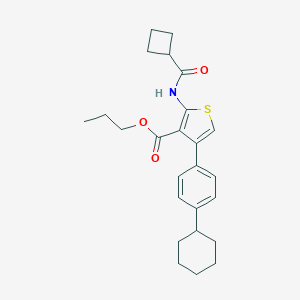molecular formula C25H31NO3S B445550 Propyl 2-[(cyclobutylcarbonyl)amino]-4-(4-cyclohexylphenyl)-3-thiophenecarboxylate 