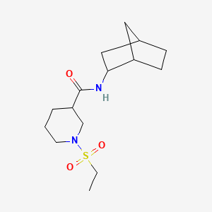 molecular formula C15H26N2O3S B4455706 N-bicyclo[2.2.1]hept-2-yl-1-(ethylsulfonyl)-3-piperidinecarboxamide 