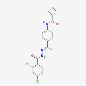 molecular formula C20H19Cl2N3O2 B445822 N-{4-[N-(2,4-dichlorobenzoyl)ethanehydrazonoyl]phenyl}cyclobutanecarboxamide 
