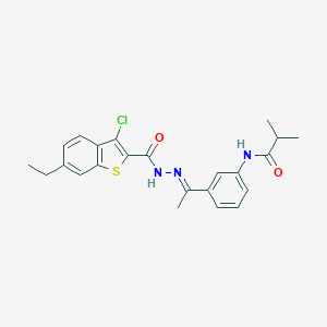molecular formula C23H24ClN3O2S B445918 N-(3-{N-[(3-chloro-6-ethyl-1-benzothien-2-yl)carbonyl]ethanehydrazonoyl}phenyl)-2-methylpropanamide 
