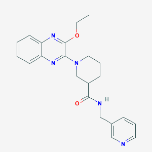 1-(3-ethoxy-2-quinoxalinyl)-N-(3-pyridinylmethyl)-3-piperidinecarboxamide