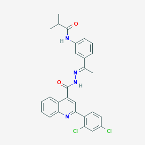 molecular formula C28H24Cl2N4O2 B446013 N-[3-(N-{[2-(2,4-dichlorophenyl)-4-quinolinyl]carbonyl}ethanehydrazonoyl)phenyl]-2-methylpropanamide 