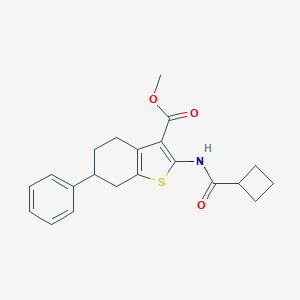 Methyl 2-[(cyclobutylcarbonyl)amino]-6-phenyl-4,5,6,7-tetrahydro-1-benzothiophene-3-carboxylate