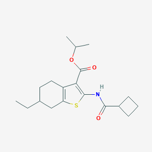 molecular formula C19H27NO3S B446279 Isopropyl 2-[(cyclobutylcarbonyl)amino]-6-ethyl-4,5,6,7-tetrahydro-1-benzothiophene-3-carboxylate 