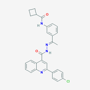 molecular formula C29H25ClN4O2 B446283 N-[3-(N-{[2-(4-chlorophenyl)-4-quinolinyl]carbonyl}ethanehydrazonoyl)phenyl]cyclobutanecarboxamide 