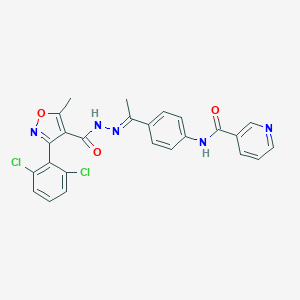 molecular formula C25H19Cl2N5O3 B446337 N-[4-(N-{[3-(2,6-dichlorophenyl)-5-methyl-4-isoxazolyl]carbonyl}ethanehydrazonoyl)phenyl]nicotinamide 