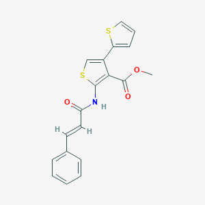 molecular formula C19H15NO3S2 B446454 Methyl 2-{[3-phenylprop-2-enoyl]amino}-4,2'-bithiophene-3-carboxylate 