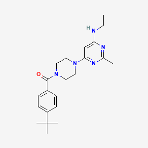6-[4-(4-tert-butylbenzoyl)-1-piperazinyl]-N-ethyl-2-methyl-4-pyrimidinamine
