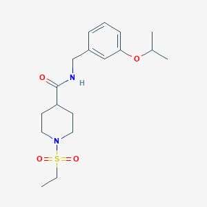 1-(ETHANESULFONYL)-N-{[3-(PROPAN-2-YLOXY)PHENYL]METHYL}PIPERIDINE-4-CARBOXAMIDE