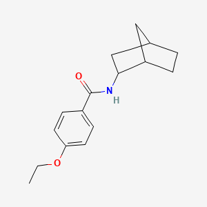 N-bicyclo[2.2.1]hept-2-yl-4-ethoxybenzamide