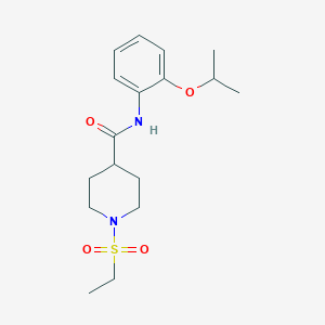 molecular formula C17H26N2O4S B4470819 1-(ETHANESULFONYL)-N-[2-(PROPAN-2-YLOXY)PHENYL]PIPERIDINE-4-CARBOXAMIDE 