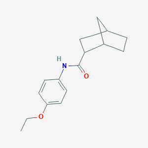 molecular formula C16H21NO2 B447171 N-(4-ethoxyphenyl)bicyclo[2.2.1]heptane-2-carboxamide 