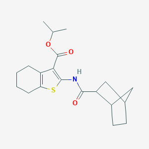 Isopropyl 2-[(bicyclo[2.2.1]hept-2-ylcarbonyl)amino]-4,5,6,7-tetrahydro-1-benzothiophene-3-carboxylate