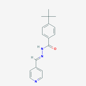 molecular formula C17H19N3O B447320 4-tert-butyl-N'-(4-pyridinylmethylene)benzohydrazide 