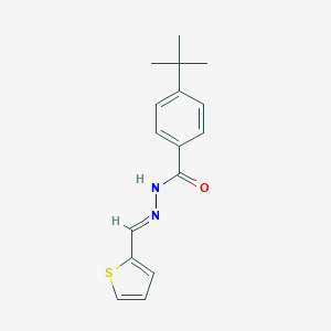molecular formula C16H18N2OS B447331 4-tert-butyl-N'-(2-thienylmethylene)benzohydrazide 