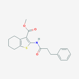 molecular formula C19H21NO3S B447340 Methyl 2-[(3-phenylpropanoyl)amino]-4,5,6,7-tetrahydro-1-benzothiophene-3-carboxylate 