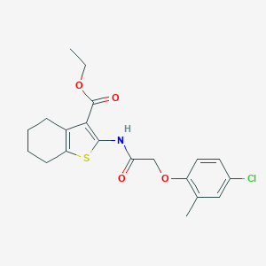 molecular formula C20H22ClNO4S B447390 2-{[(4-chloro-2-méthylphénoxy)acétyl]amino}-4,5,6,7-tétrahydro-1-benzothiophène-3-carboxylate d'éthyle CAS No. 346720-81-8