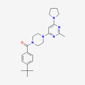 molecular formula C24H33N5O B4474190 4-[4-(4-Tert-butylbenzoyl)piperazin-1-YL]-2-methyl-6-(pyrrolidin-1-YL)pyrimidine 