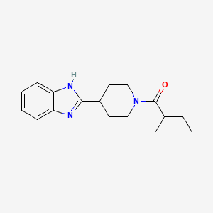 1-[4-(1H-1,3-BENZODIAZOL-2-YL)PIPERIDIN-1-YL]-2-METHYLBUTAN-1-ONE