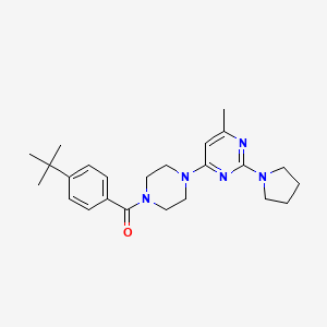 4-[4-(4-TERT-BUTYLBENZOYL)PIPERAZIN-1-YL]-6-METHYL-2-(PYRROLIDIN-1-YL)PYRIMIDINE