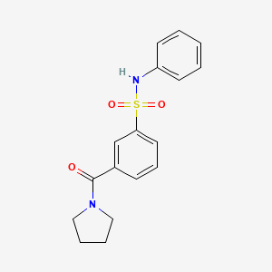 N-phenyl-3-(1-pyrrolidinylcarbonyl)benzenesulfonamide