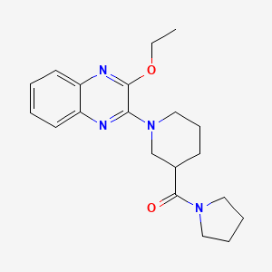 molecular formula C20H26N4O2 B4483348 [1-(3-Ethoxyquinoxalin-2-yl)piperidin-3-yl](pyrrolidin-1-yl)methanone 