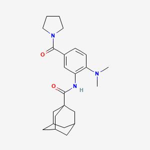 molecular formula C24H33N3O2 B4483436 N-[2-(dimethylamino)-5-(1-pyrrolidinylcarbonyl)phenyl]-1-adamantanecarboxamide 