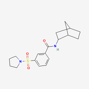 N-bicyclo[2.2.1]hept-2-yl-3-(1-pyrrolidinylsulfonyl)benzamide