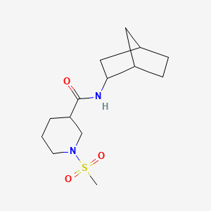 N-bicyclo[2.2.1]hept-2-yl-1-(methylsulfonyl)-3-piperidinecarboxamide