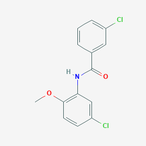 molecular formula C14H11Cl2NO2 B448526 3-chloro-N-(5-chloro-2-methoxyphenyl)benzamide 