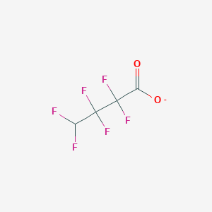 molecular formula C4HF6O2- B448593 2,2,3,3,4,4-Hexafluorobutanoate 