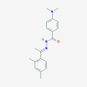 molecular formula C19H23N3O B448665 4-(dimethylamino)-N'-[1-(2,4-dimethylphenyl)ethylidene]benzohydrazide 