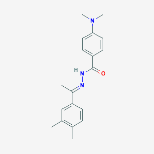 molecular formula C19H23N3O B448673 4-(dimethylamino)-N'-[1-(3,4-dimethylphenyl)ethylidene]benzohydrazide 