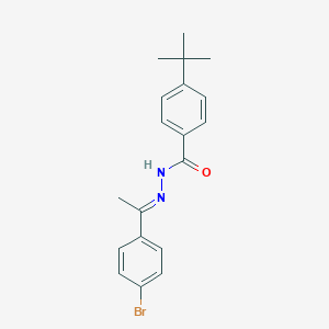 molecular formula C19H21BrN2O B448680 N'-[1-(4-bromophenyl)ethylidene]-4-tert-butylbenzohydrazide 
