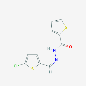 molecular formula C10H7ClN2OS2 B448743 N'-[(5-chloro-2-thienyl)methylene]-2-thiophenecarbohydrazide 