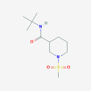 N-TERT-BUTYL-1-METHANESULFONYLPIPERIDINE-3-CARBOXAMIDE