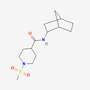 N-bicyclo[2.2.1]hept-2-yl-1-(methylsulfonyl)-4-piperidinecarboxamide