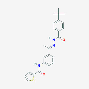 molecular formula C24H25N3O2S B449827 N-{3-[N-(4-tert-butylbenzoyl)ethanehydrazonoyl]phenyl}-2-thiophenecarboxamide 
